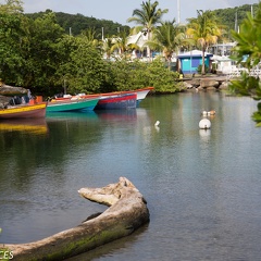 Martinique2013-198
