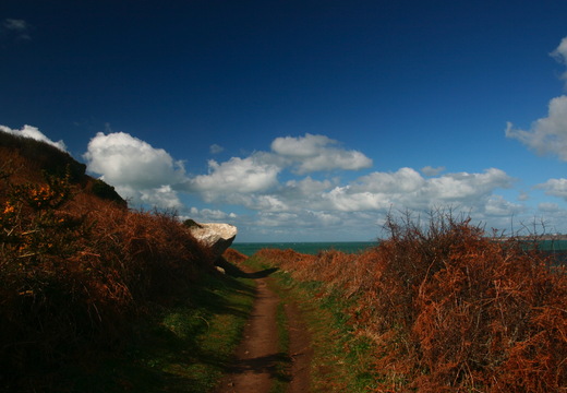 IMG 6728.JPG