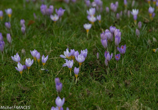 Paris2014-04