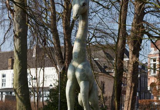 IMI 6035