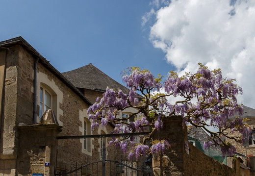 IMI 6679