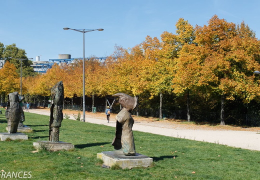 IMB 3618