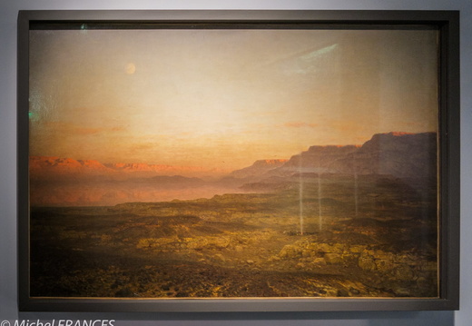 IMX 5501