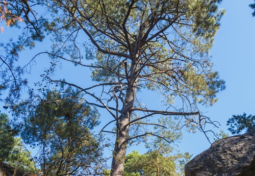 IMX 0688-Panorama