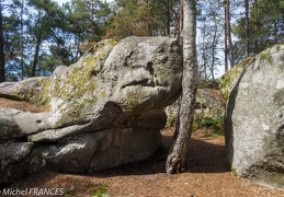 Randonnée des rochers dans la forêt de Fontainebleau