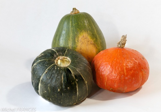 Des courges et quelques pommes