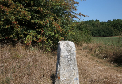 IMZ 3051