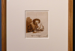 IMI 8255