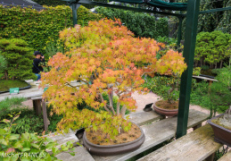 Rando de gare à gare à la Vallée aux Loups